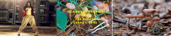 тгк Абинск