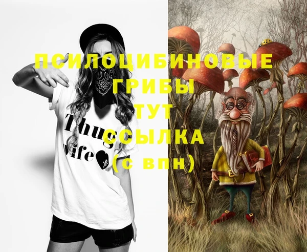 spice Абдулино