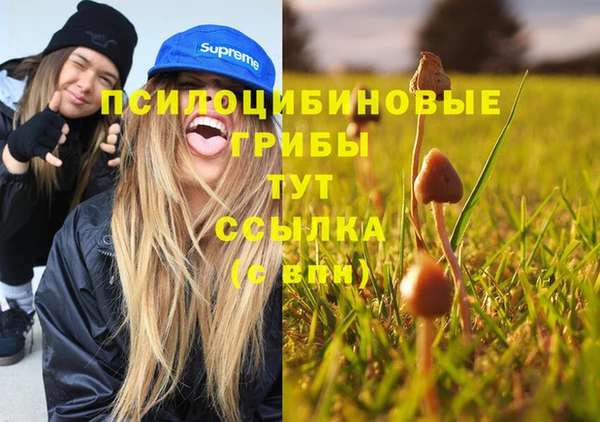 spice Абдулино