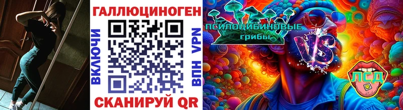 дарнет шоп  Ялуторовск  Псилоцибиновые грибы мухоморы 